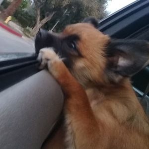 Meet your Posher, Btslover